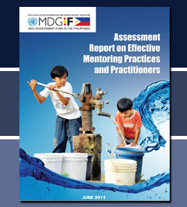 Assessment_Report_on_Effective_Mentoring_Practices_&_Practitioner