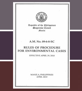 rules-procedure-environ-cases